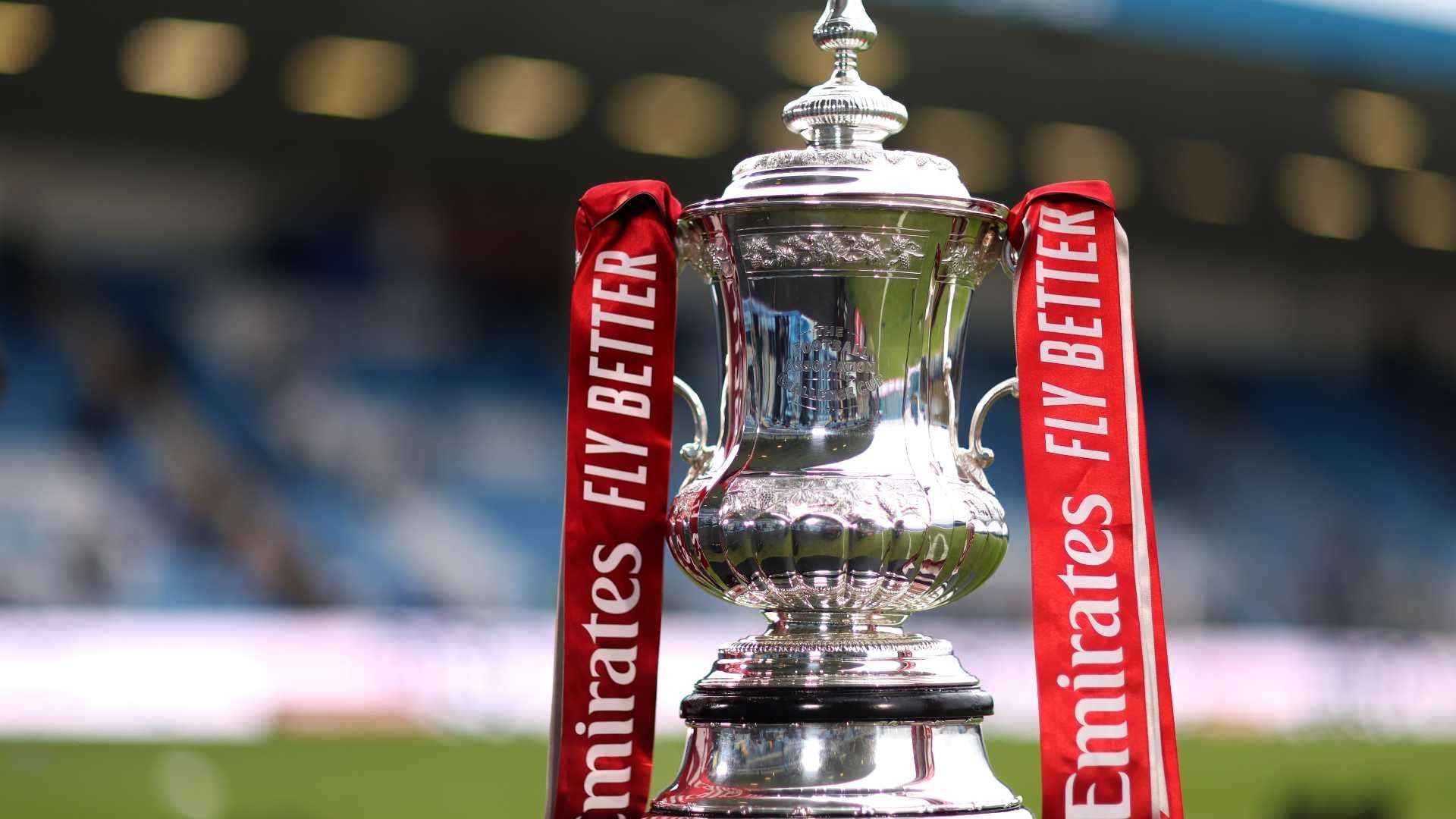 极高的智慧 极高的智慧