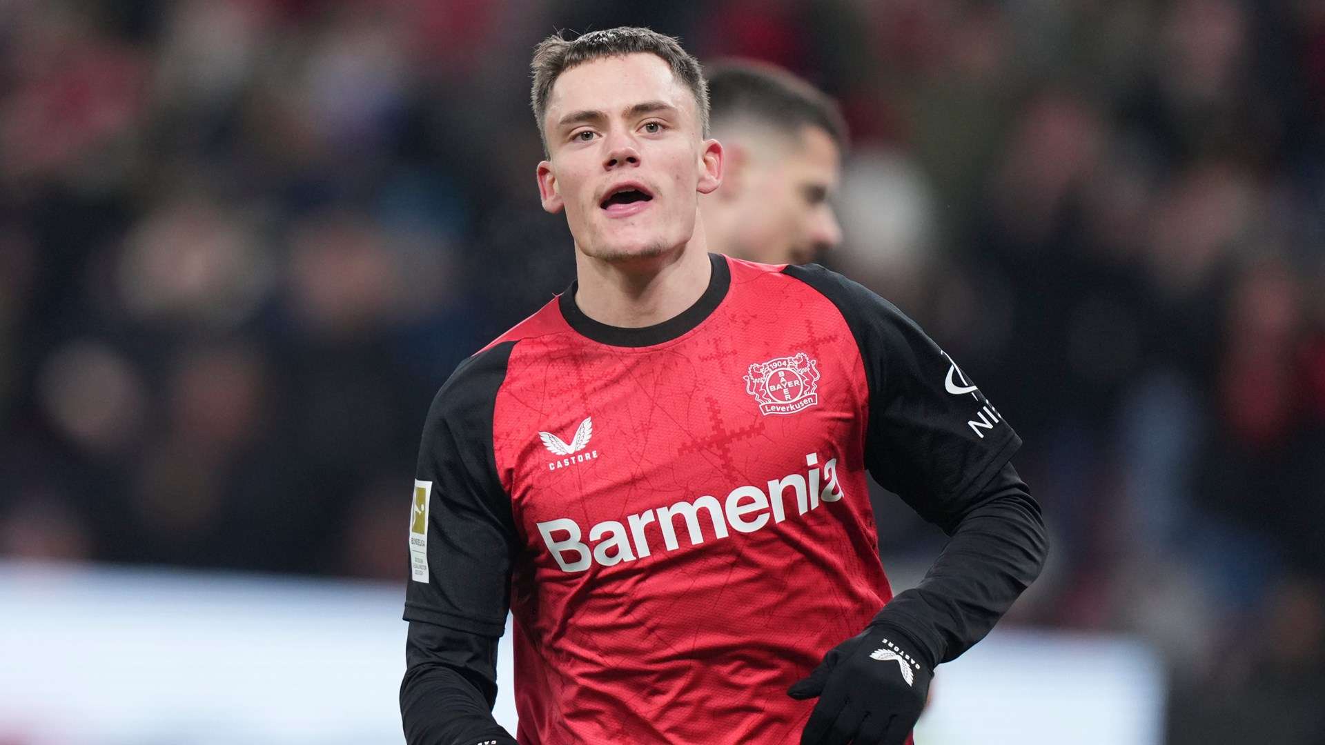 它們不僅能 它們不僅能