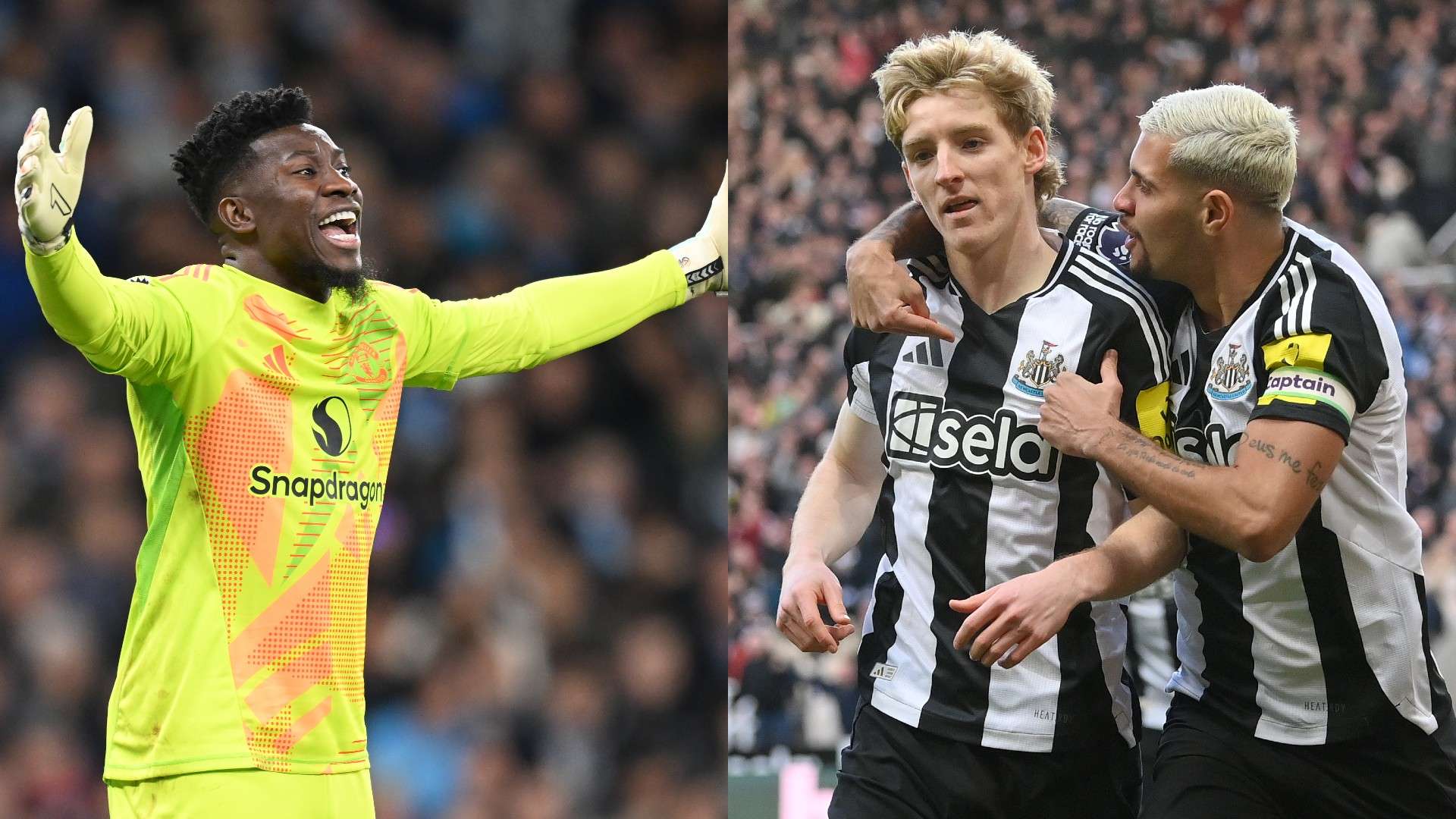 穩定的表現 穩定的表現