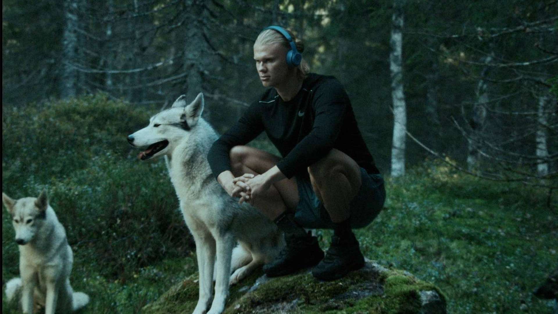 对于广州市 对于广州市